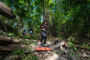 BIB: 
                            <button type="button" onclick="openModal(19388163)" class="btn btn-primary btn-sm float-right btn-popup" data-toggle="modal" data-target=".modal-high-quality">
                        <i class="fas fa-shopping-cart"></i> Add to Cart
                    </button>
                                            <button type="button" onclick="isThisMe(19388163, true)" class="btn btn-success btn-sm float-right btn-popup btn-isme hidden" data-toggle="tooltip" data-placement="bottom" title="นี่คือรูปของคุณใช่ไหม คลิกที่นี่เพื่อเอาเข้าอัลบั้ม">
                        <i class="fas fa-plus"></i> Add to album
                    </button>
                    <button type="button" onclick="isThisMe(19388163, false)" class="btn btn-warning btn-sm float-right btn-popup btn-isnotme hidden">
                        <i class="fas fa-ban"></i> Remove from album
                    </button>